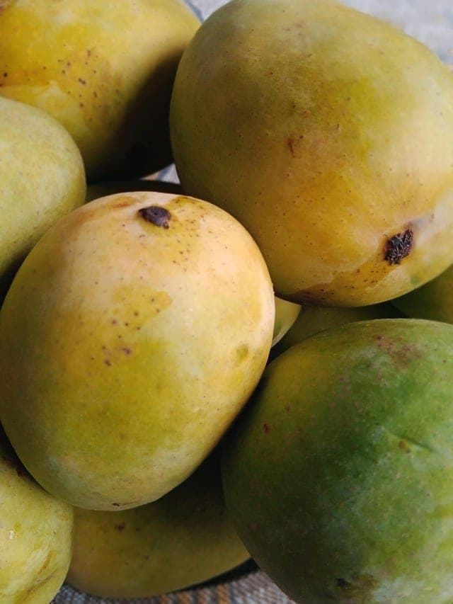 Mango